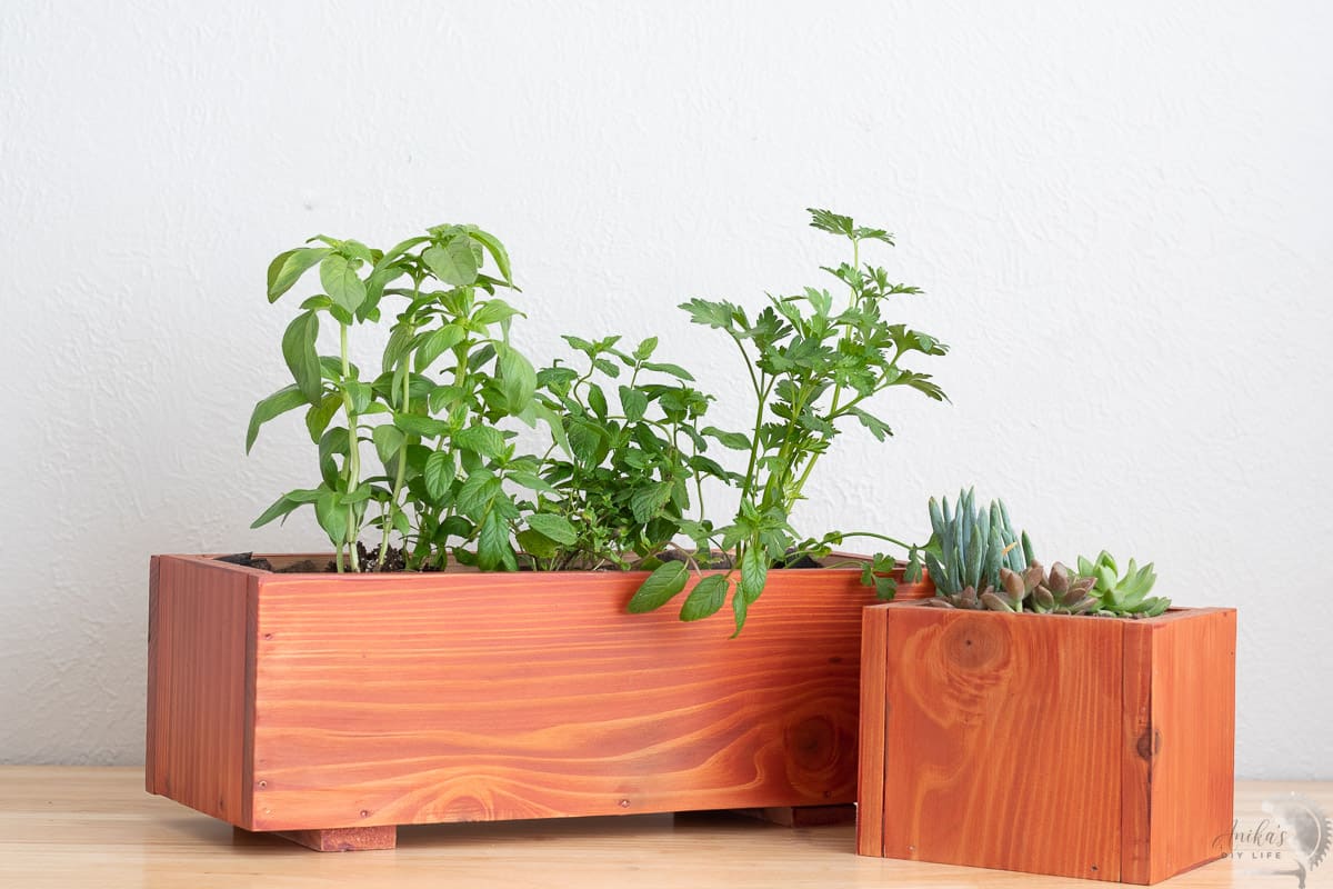 Redwood planters with herbs and succulents