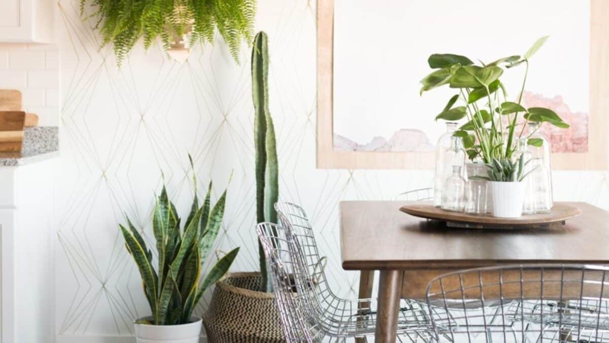 accent wall made with a sharpie