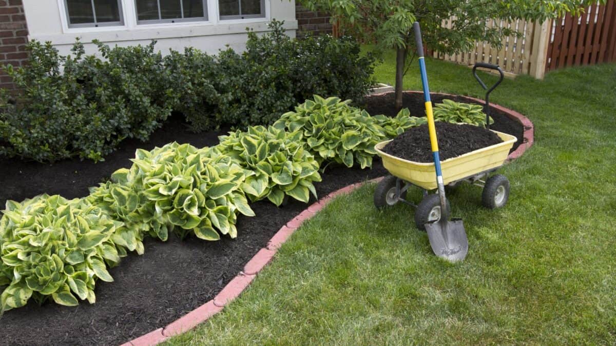 mulched area in front of house