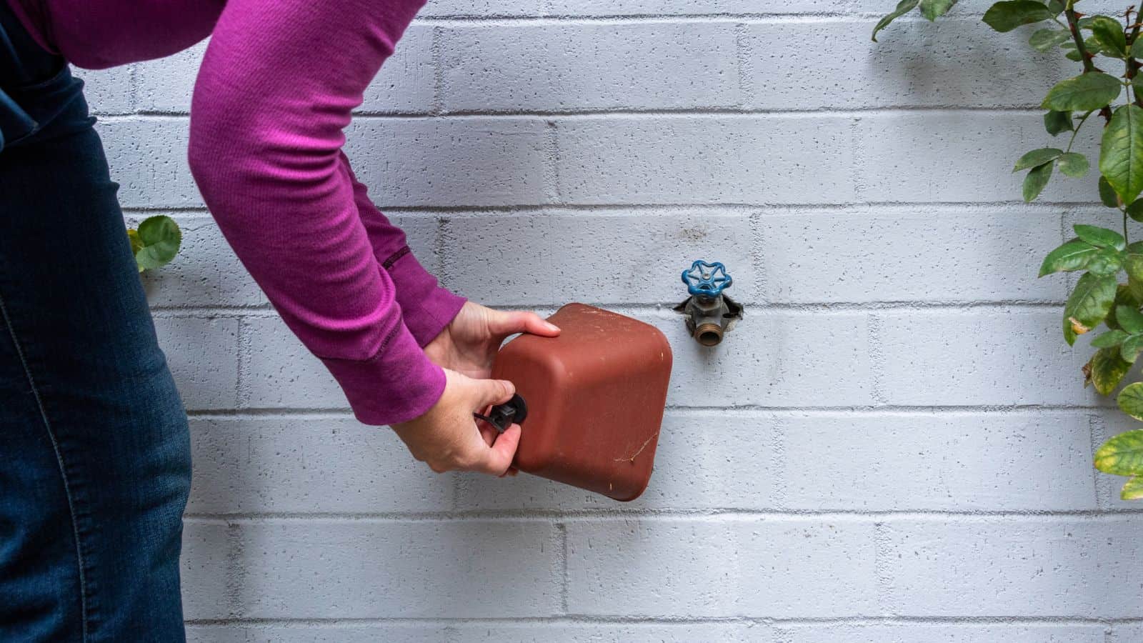 covering outdoor spigot with cover for winter