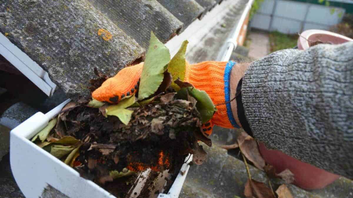 cleaning out a gutter one of 12 fall home maintenance tasks