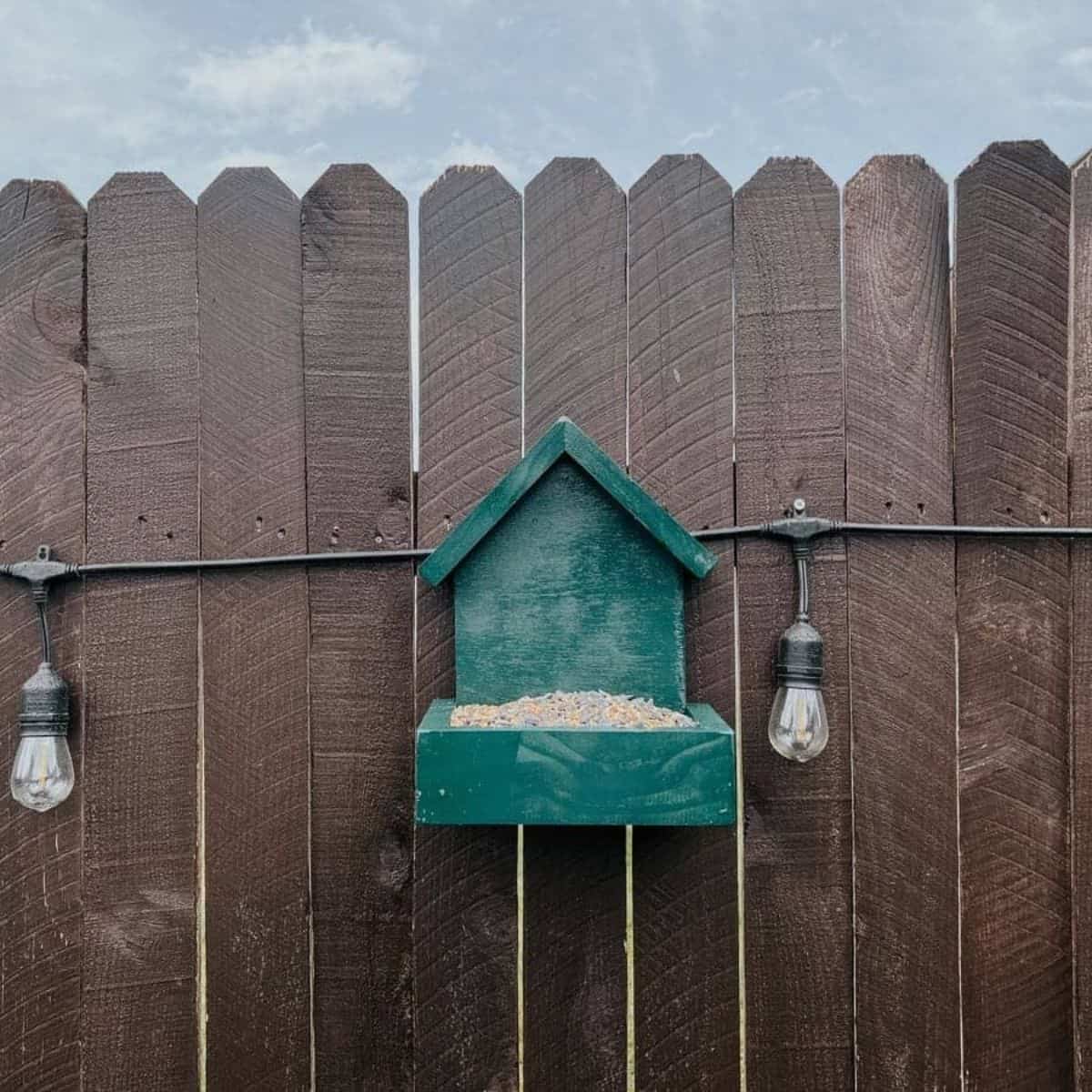 DIY green bird feeder hanging on a fence