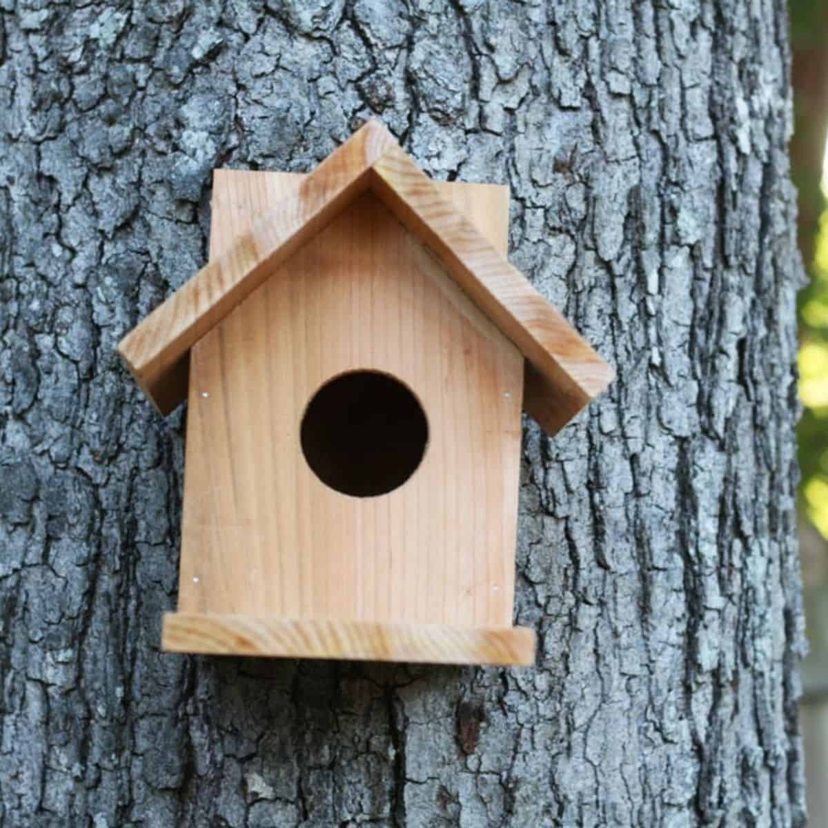 Wood project ideas for kids cedar fence picket birdhouse