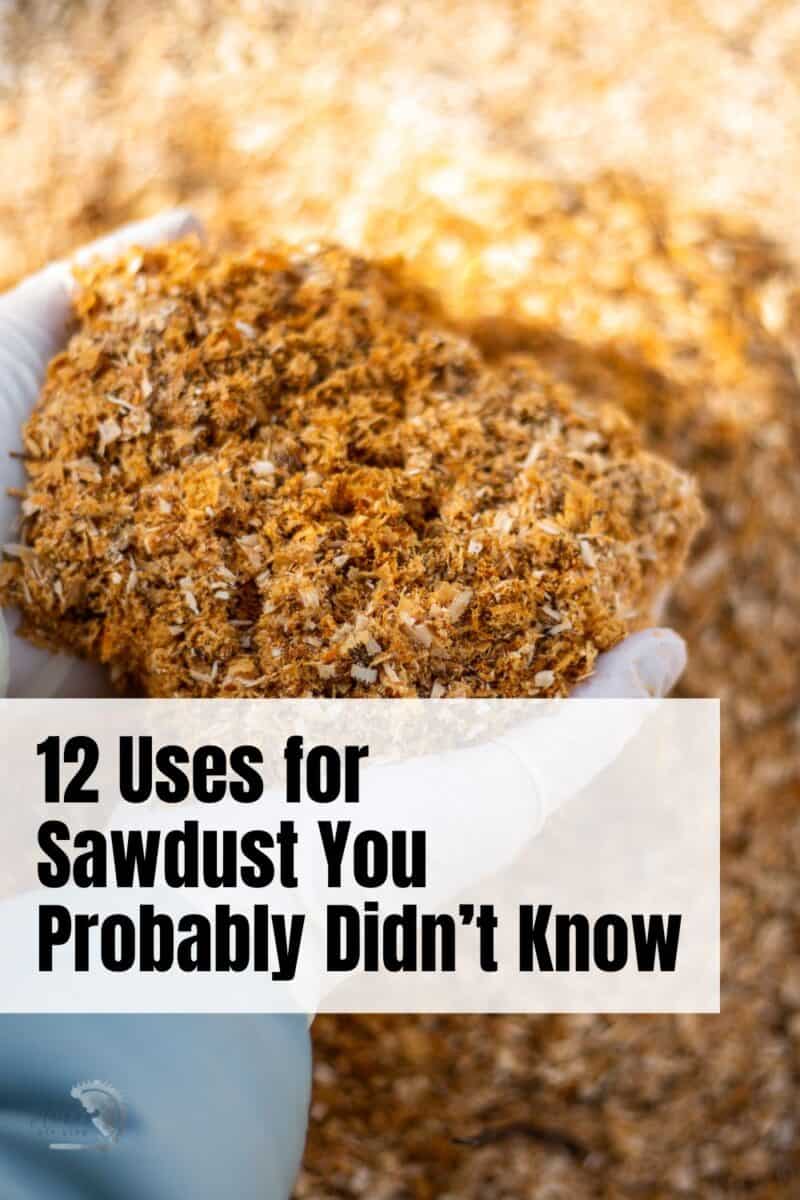woman holding sawdust in her hands