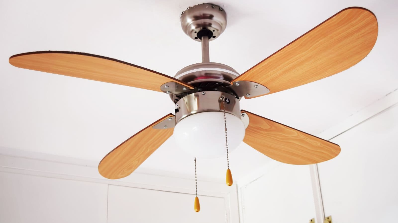 Ceiling fan with light