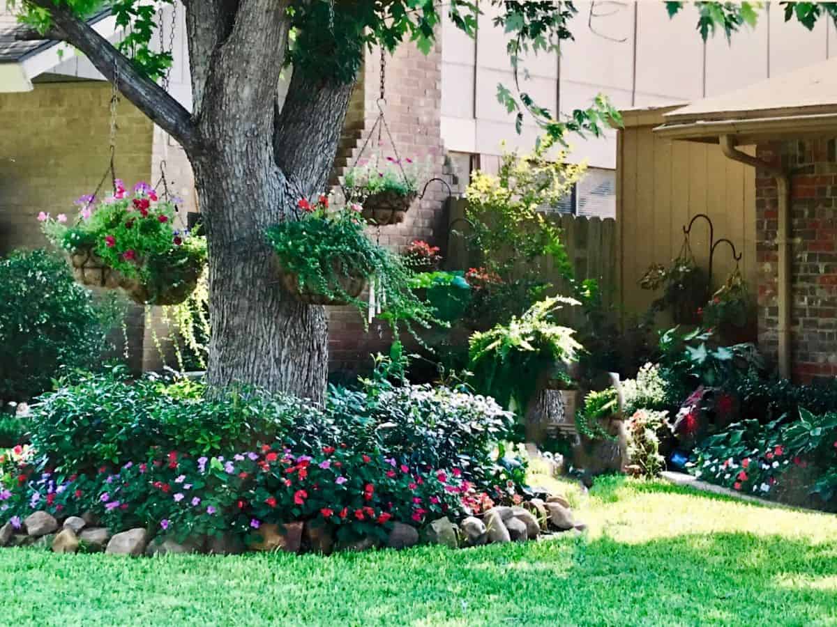front yard garden full of plants, flowers, and hanging baskets
