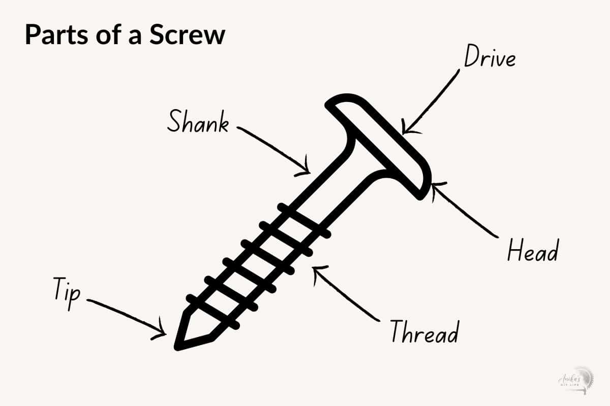 graphic of wood screw with parts labeled.