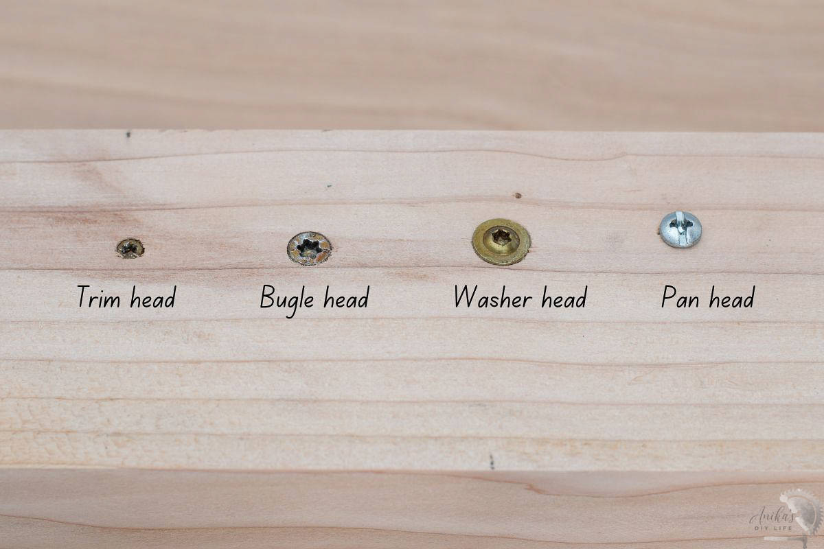 Various shaped screw heads in wood