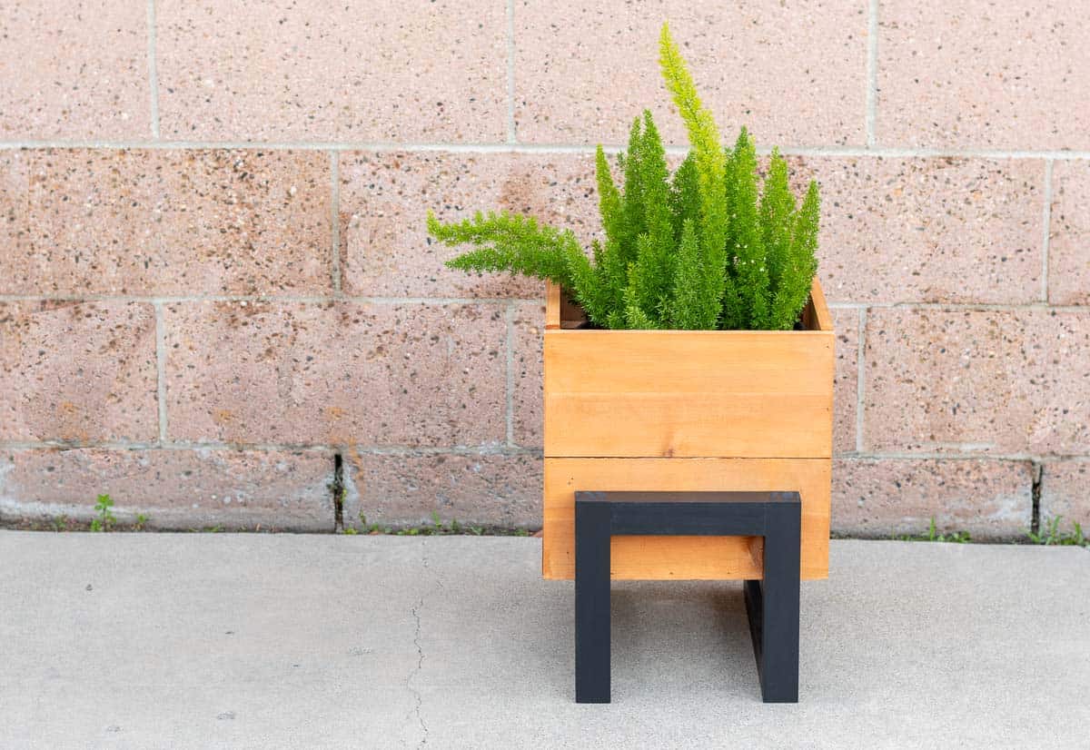front view of DIY modern planter box with plant in front of wall