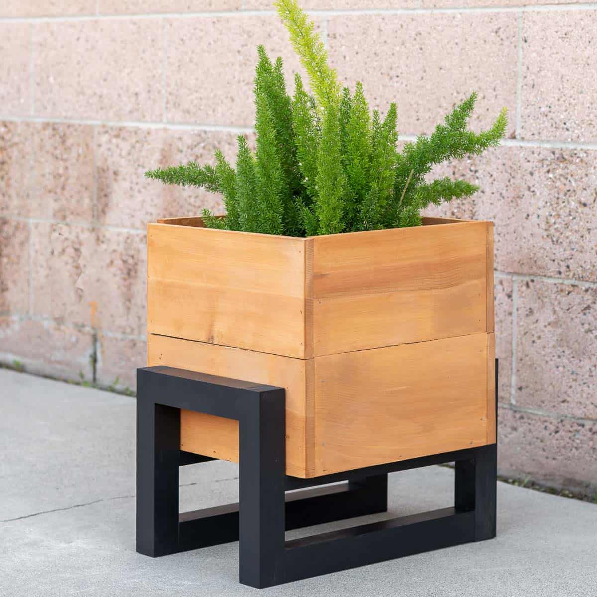 Learn how to build a simple DIY Modern Planter Box with a unique stand with step-by-step instructions and a detailed tutorial and video.