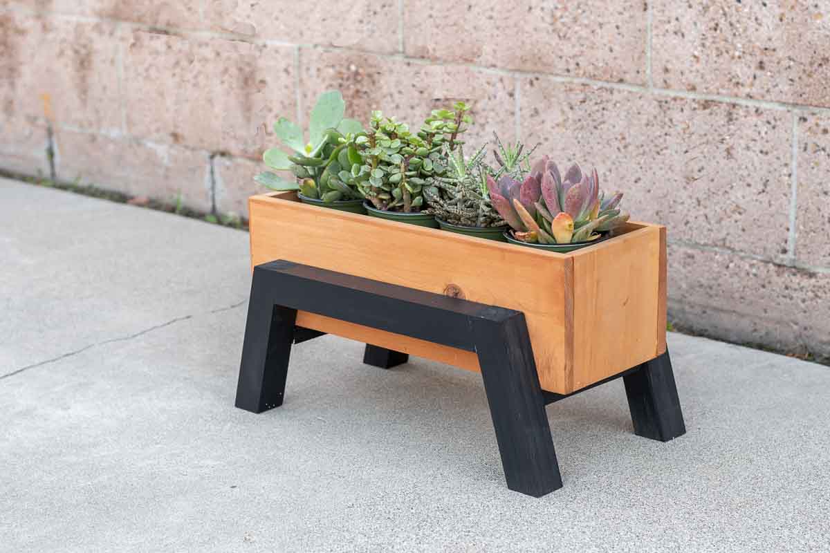 side view of modern Small diy wood planter with succulents