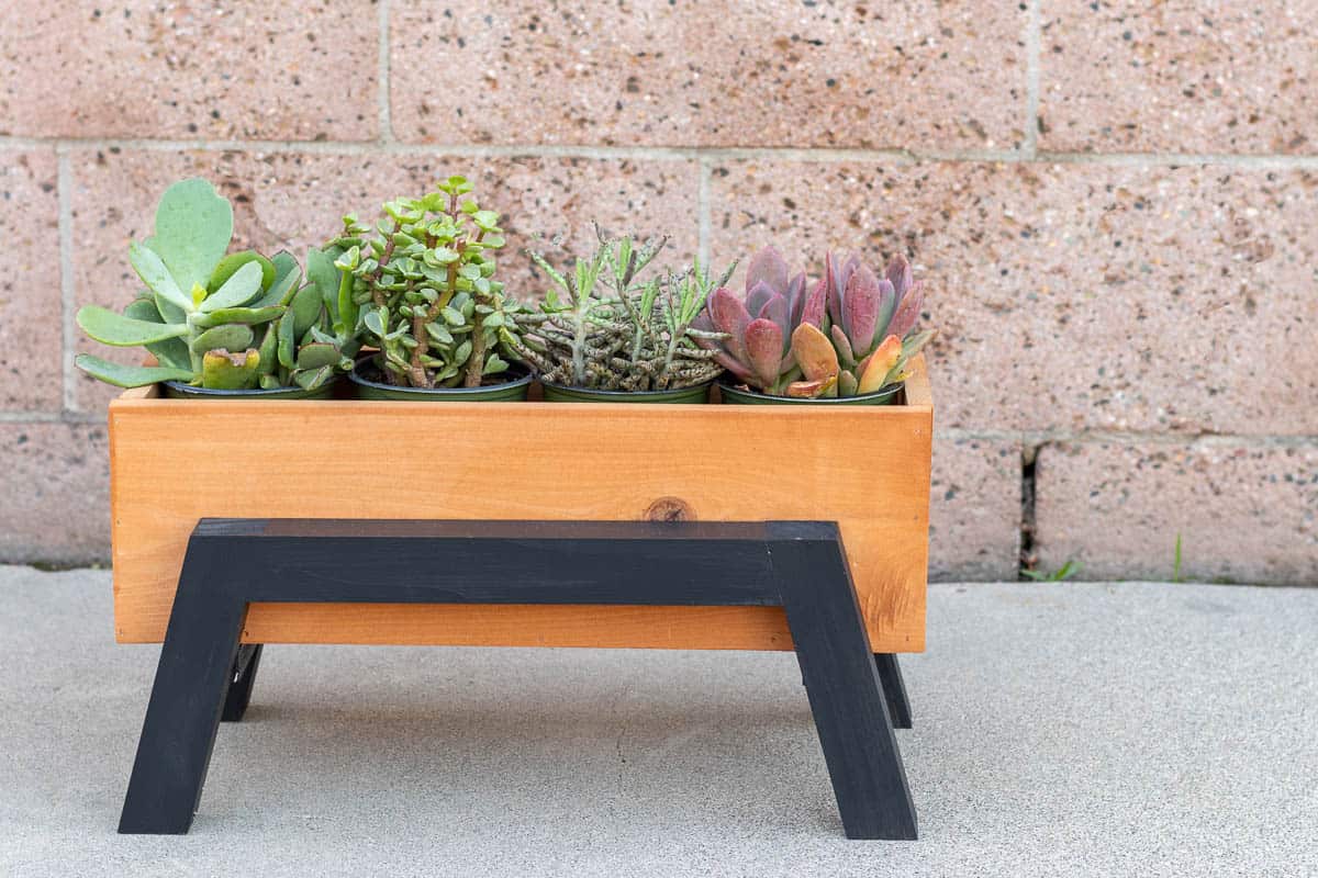 Close up of modern DIY wood planter box with succulents in front of wall