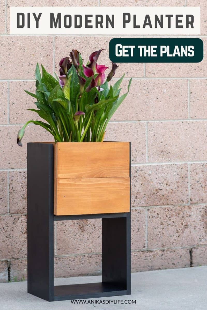 DIY tall modern planter in front of wall