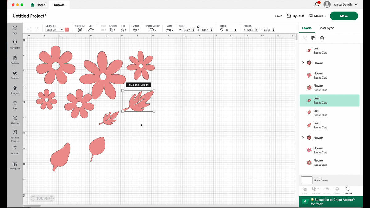Design space showing the leaves and flower patterns