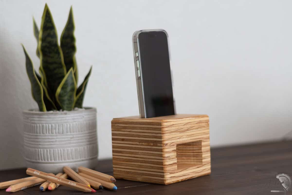 side view of the DIY phone amplifier