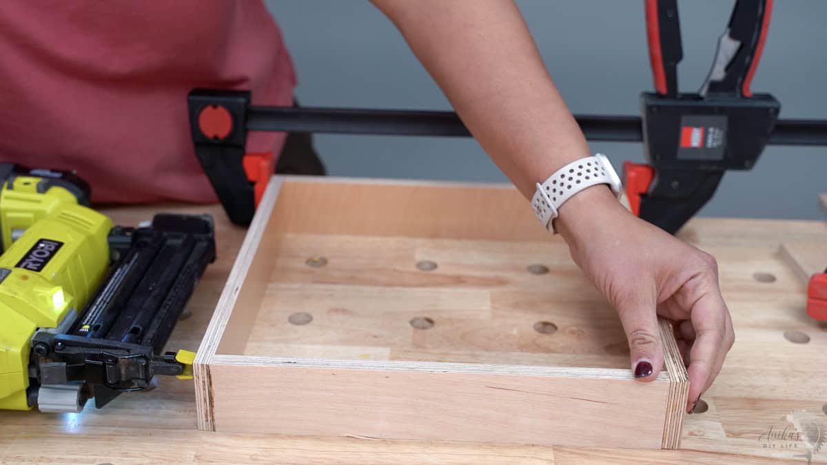 Assembling the box using wood glue and finish nails. Clamps are holding the boards in place as they are attached