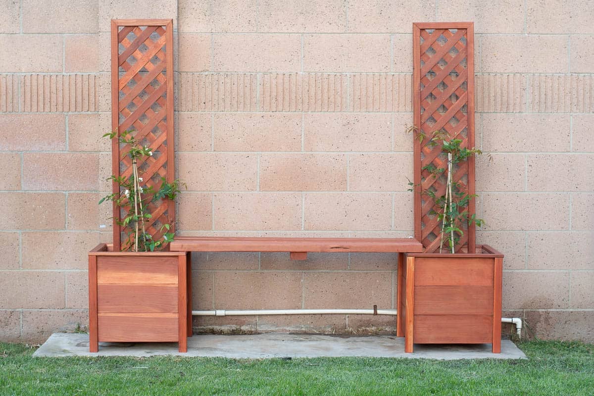 Redwood planters with trellis and bench in between.