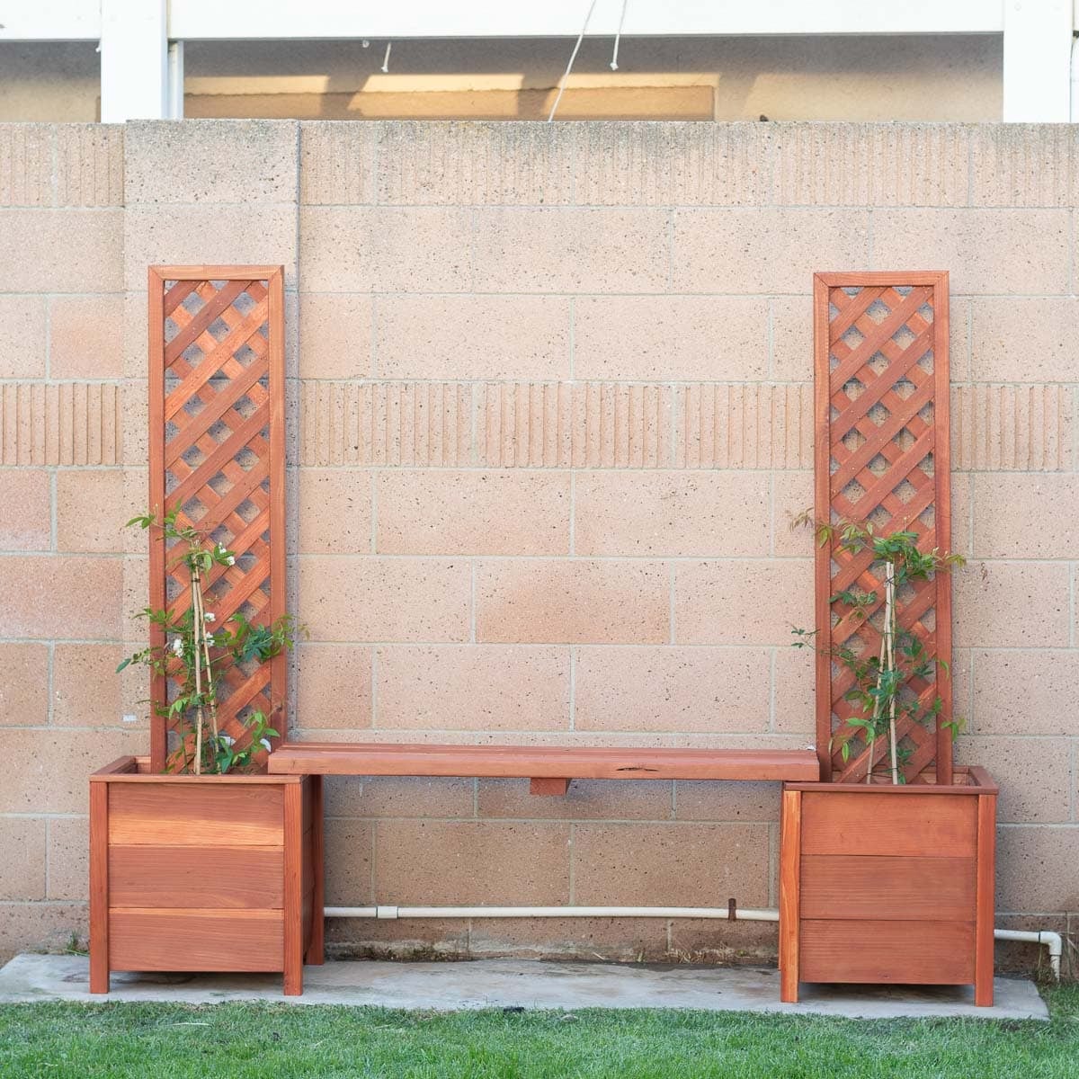 Learn how to build a simple, beginner-friendly DIY planter bench with a trellis using basic tools. Step-by-step tutorial and easy-to-follow plans included.