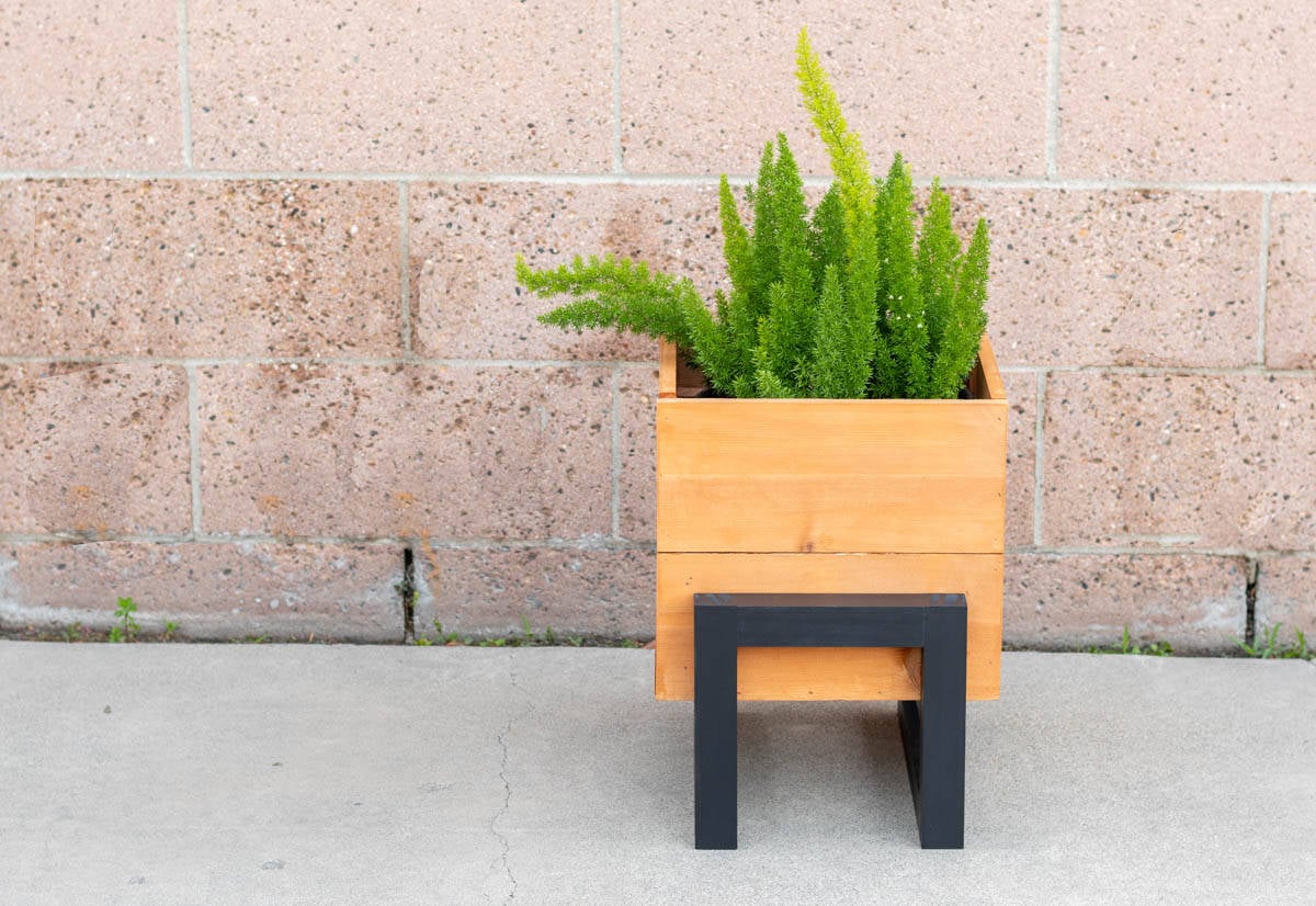 Medium size modern planter box