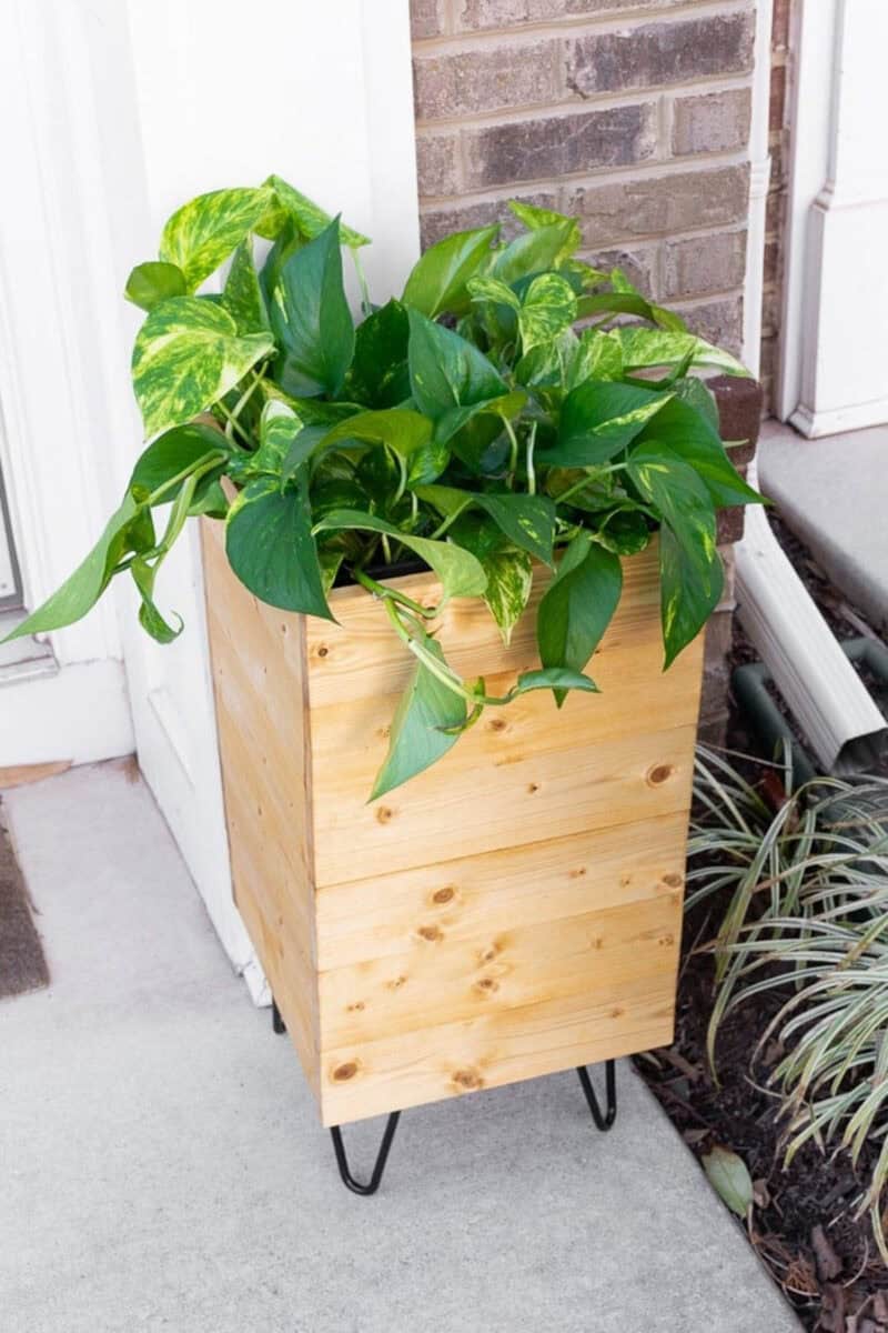Modern planter with hairpin legs