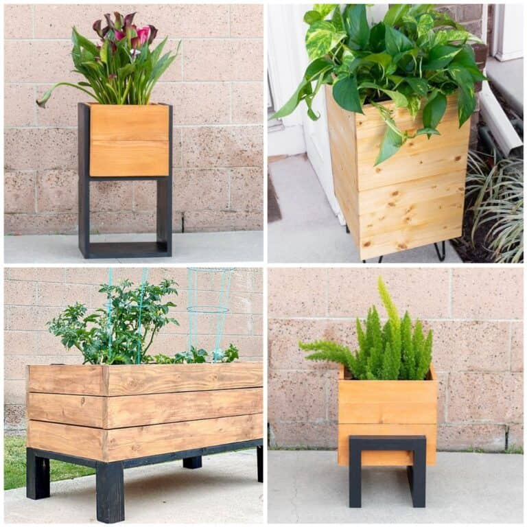image collage of four DIY modern planter ideas