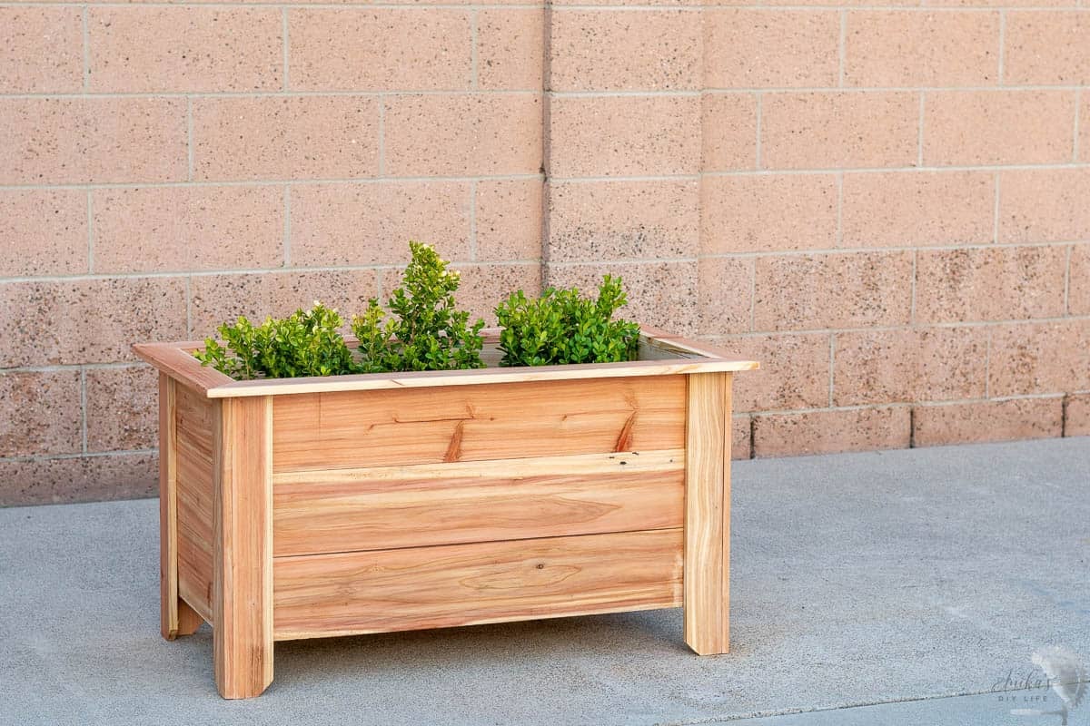 Rectangular DIY cedar raised planter box on concrete driveway.  with small plants in it. 