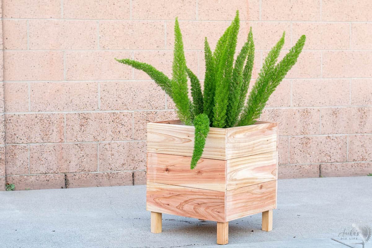 A DIY square cedar planter with plant inside on a concrete driveway with brick wall behind it.