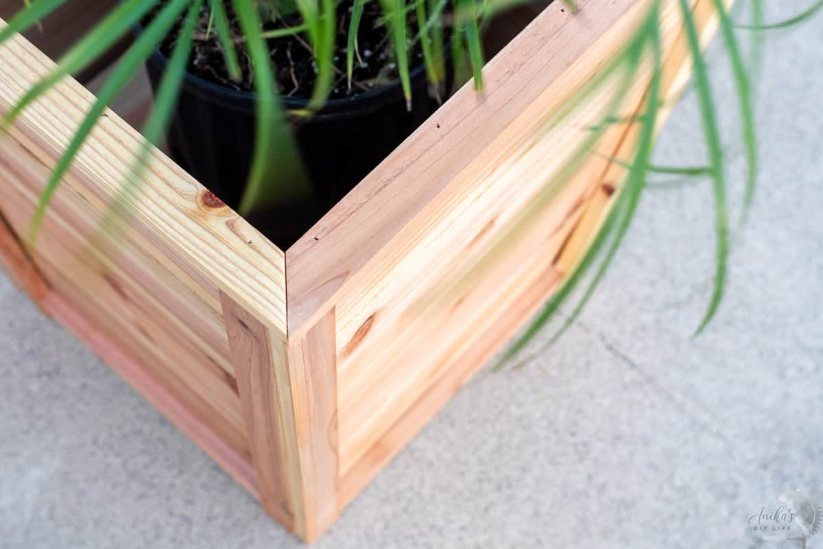 Close up of the top trim of the tapered cedar planter.